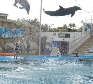 Marineland Mallorca