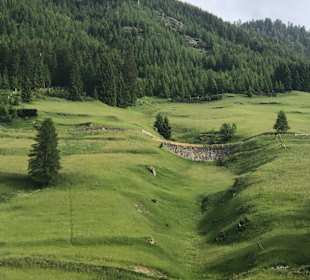 Wandern St. Jakob im Defereggental