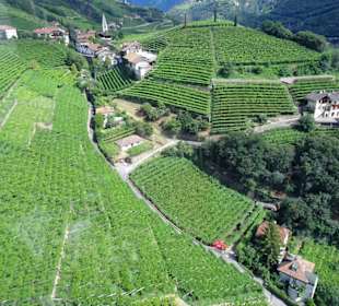 Blick aus der Seilbahn auf die Hänge des Ritten