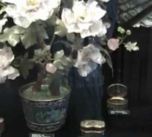 Naturhistorisches Museum 