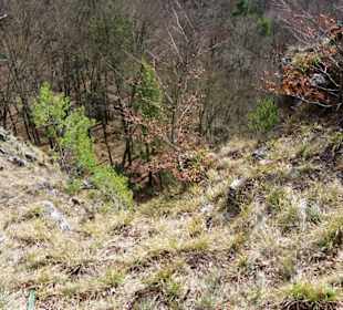 Geht es ganz schön runter