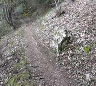 Wanderweg Hochgehswiggert