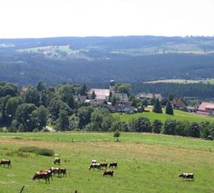 Idyllisches Dorf Kappel bei Lenzkirch