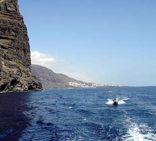 Panorama Los Gigantes