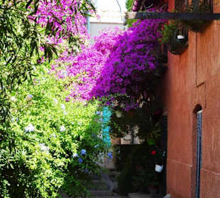 Spaziergang durch die Altstadt von Collioure
