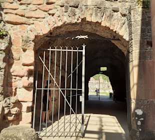Schloss- und Festungsruine Hardenburg