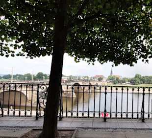 Blick auf die Augustusbrücke