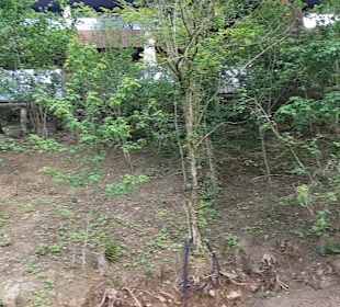 Wellnessbereich Mawell Resort 