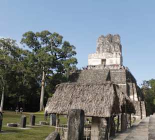 Tikal