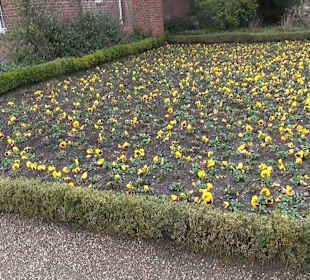 Flora und Botanischer Garten