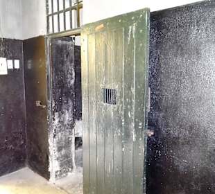 Zellengang