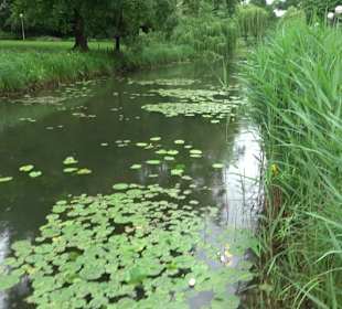 Fischlehrpfad Neu-Ulm