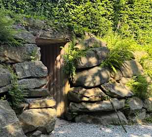 Waldwipfelweg St Englmar