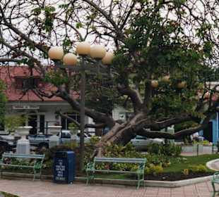 Ausflug-Puerto Plata