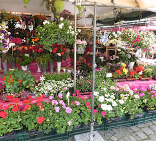 Wirklich sehenwerte Stände und Gassen