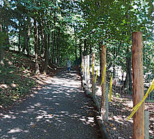 Wildpark Osterzgebirge