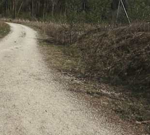 Wanderweg Firstwaldrunde