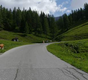 Dachstein Panoramastrasse