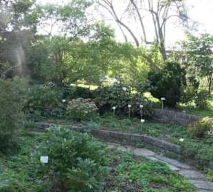 Botanischer Garten München