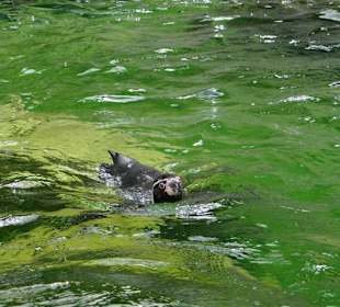 Rundgang im Tierpark