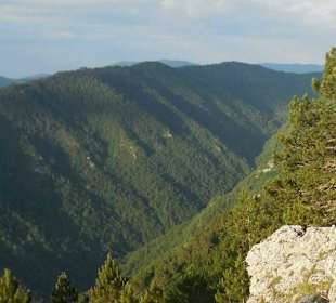 Вид с грры Олимп