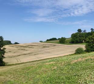 Landschaft bei Hatzendorf