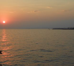 Wahnsinns-Sonnenuntergang vom Schiff aus