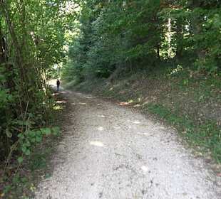 Bussen Schöpfungsweg Offingen