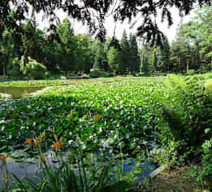Am Bamberger Hainweiher