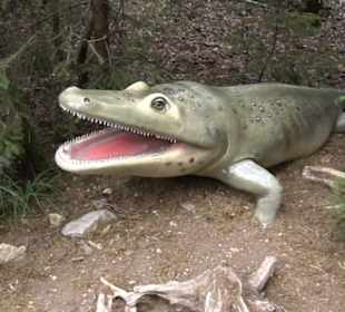 Dinosaurier Museum Altmühltal