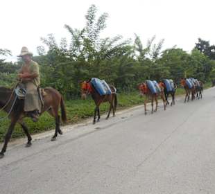 Unterwegs zu Topas de Collantes