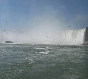 Horseshoe Falls