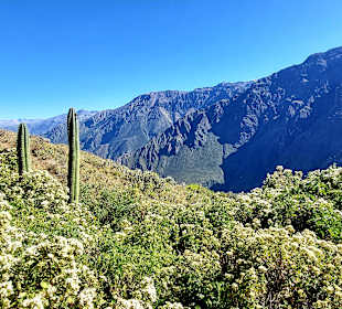 Colca-Canyon