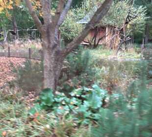 Tierpark