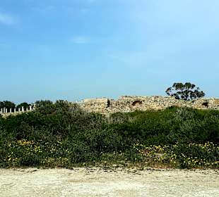 Ruinenstadt Salamis