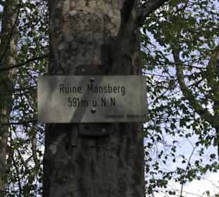 Ruine Monsberg