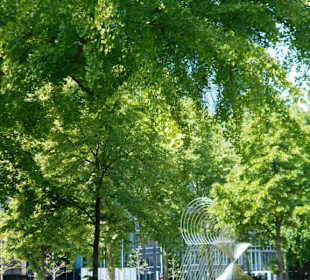 Taunusanlage
