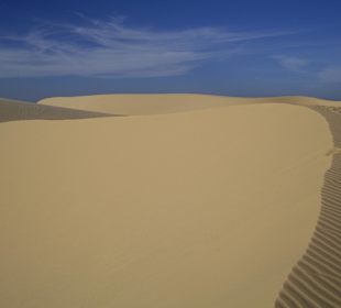 Weiße Dünen