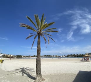 Strand Alcudia