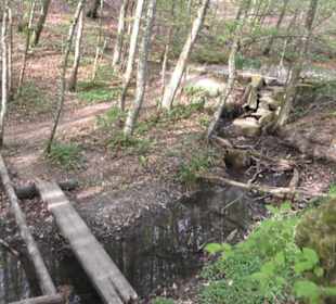 Barfußpfad Firstwald
