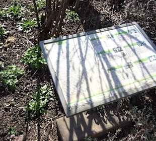 Apothekergarten Ettlingen