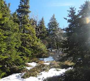 Karkonoski Park Narodowy