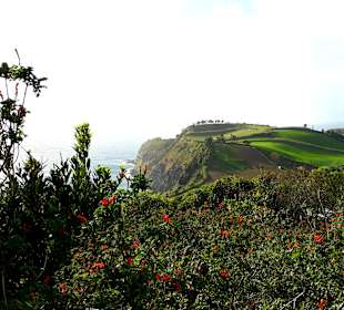 Ausblick