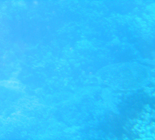 Tauchen/U-Bootsfahrt 