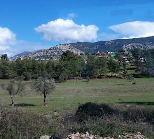 Landschaft um den Stausee