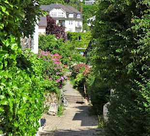 Impressionen aus dem Treppenviertel Blankenese