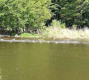 Kurpark Bad Münster