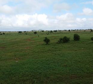 Sarova Salt Lick Game Lodge