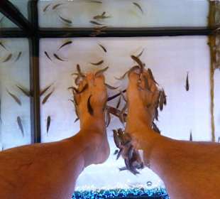 Fishspace ein Erlebnis