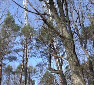 Naturschutzgebiet Hirschauer Berg